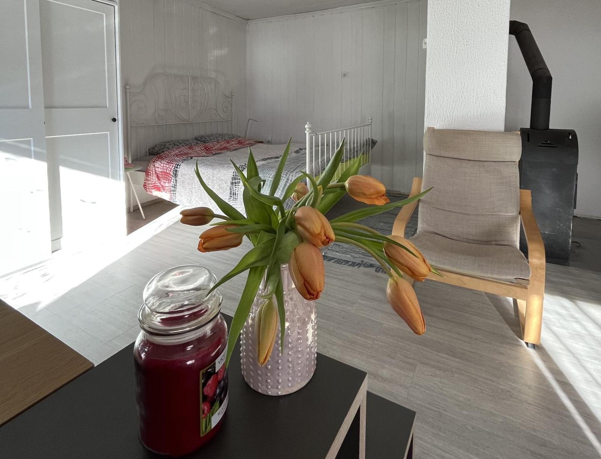 Hisa Megiclinic - Apartments & Healing Center Kobarid Eksteriør billede